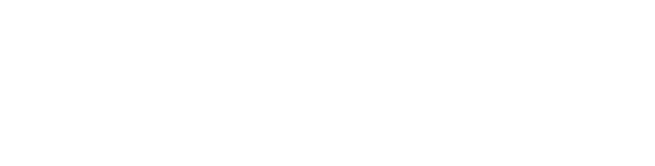 SecurData