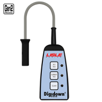 digidown digidown